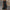 WW | Stilvolles Schickes Kleid