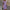 WW | Stilvolles Schickes Kleid