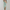 WW | Glitzer Kleid
