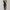 WW | Glitzer Kleid