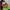 WW | Weinlese Quadratische Damen Sonnenbrille
