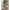 WW | Vintage Halbarm Hemdkleid Leinen und Baumwolle