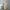 WW | Vintage Halbarm Hemdkleid Leinen und Baumwolle