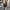 WW | Lederjacke mit Kapuze