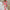 WW | Stilvoll Elegantes Sommerkleid