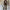 WW | Blazer Set Sommer Zwei-Teile Eleganz Set