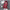 WW - Winterjacke Mit Abnehmbarer Kapuze