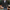 Langärmelige Blazer mit umgeschlagenem Kragen Langärmeliger Mantel