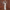 WW | Spitzen Maxikleid Elegantes Langarm Quadratischer Ausschnitt Formelles Abendkleid