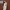 WW | Maxikleid mit Spitzenstickerei und Sling