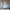 WW | Midi-Kleid Elegant Blau