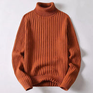 WW | Merinowoll Rollkragenpullover