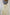 WW | Hosenbeine Low Rise Elastische Taille Niedrige Taille Hose Damenhosen