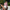 WW | Hochgeschnittene Sommershorts Für Frauen