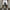 WW | Sportliche Kordelzug Sommershorts Für Herren