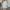 WW Kleid für den Sommer