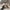 WW | Noble Damen Pelzmantel mit zeitloser Eleganz - Winter 2024