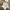 WW | Noble Damen Pelzmantel mit zeitloser Eleganz - Winter 2024