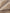 WW | Noble Damen Pelzmantel mit zeitloser Eleganz - Winter 2024