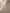 WW | Noble Damen Pelzmantel mit zeitloser Eleganz - Winter 2024