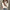 WW | Oversized Warme Damen Rollkragenpullover