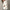 WW | Oversized Warme Damen Rollkragenpullover