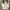 WW | Oversized Warme Damen Rollkragenpullover