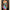 WW | 13 Going On 30 Mini Kleid