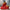 WW | Sportschuhe mit Pailletten In Glitzer