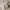 WW - Damen Vielseitige Schultertasche aus weichem Leder mit gewebtem Hobo-Design