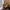 WW - Damen Vielseitige Schultertasche aus weichem Leder mit gewebtem Hobo-Design
