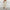 WW Damenanzug | Zweiteiler hose und blazer sommer