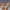 WW | Mesh-Slipper mit flachem Absatz
