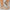 WW | Mesh-Slipper mit flachem Absatz