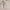 WW | 2 Teiliges Damen Sommer Set