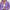 WW | Damen Stilvoller Eleganter Blazer