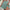 WW | Blumenprint Hohe Taille Minirock