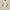 WW | Set Herren Sommer mit Hemd und Shorts