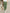WW | Bequeme Leinenhose Licht & Stilvoll
