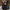 WW | Elegante Lederjacke Für Damen.