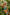 WW | High Waist Colorblock Marine Cut Back Crop Bikini Set