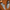 WW | Herren Schuhe Echtes Leder Herren Slipper Komfortabel & Trendy
