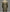 WW | Herren-Trenchcoat mit stilvollem Kragen