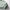 WW | teiliges sportliches Set - trendige Damen Sweatjacke mit Jogginghose