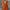 WW | Schlichtes Baumwoll Leinen Kleid Mit V-Ausschnitt Und Halben Ärmeln
