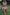 WW Bandeau-Bikini mit Ringausschnitt
