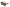 WW | Exquisite Damen Sonnenbrille Mit Blumenmuster