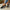 WW | Leichte und Stylische Damen Sneaker