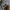 WW | Leder Herren Hausschuhe