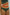 WW | High Waist Colorblock Marine Cut Back Crop Bikini Set
